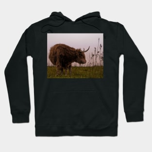 Scottish Highlander Hoodie